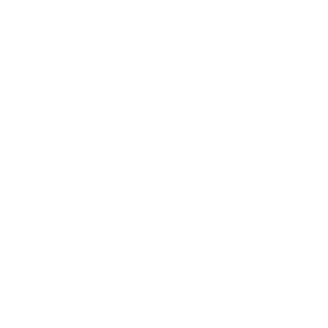 A image of a forest with half of the picture emphasising on the lushness of the untouched mossy forest flow